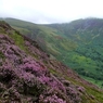 Parciau Cenedlaethol yn cael eu cosbi’n llym gan Lywodraeth Cymru