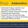 Addewidion Prifysgol Aberystwyth i fyfyrwyr Cymraeg