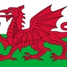 Chwilio am arlunydd y Ddraig Goch