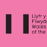 Llenyddiaeth Cymru yn comisiynu adolygiad o Wobrau Llyfr y Flwyddyn